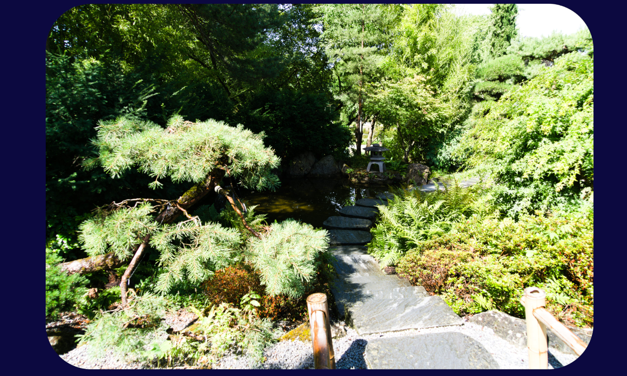 Bluehendes Barock Japangarten